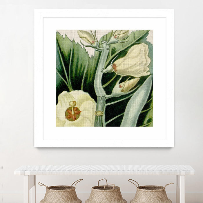 \"Cropped Turpin Tropicals Iii\" Matted and Framed White 36x36 Wall Art