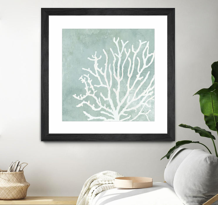 \"Sea Crown Ii\" Matted and Framed Black 36x36 Wall Art