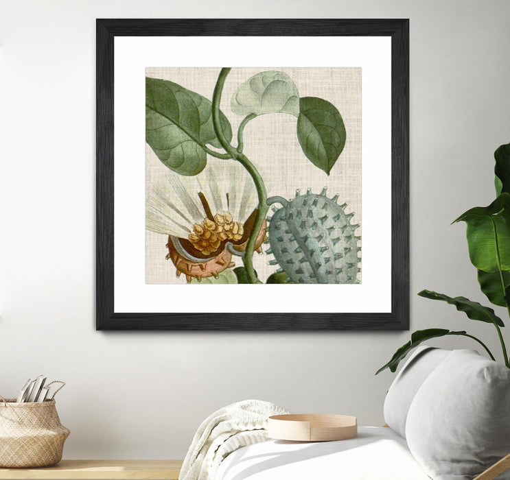\"Cropped Turpin Tropicals Ii\" Matted and Framed Black 36x36 Wall Art