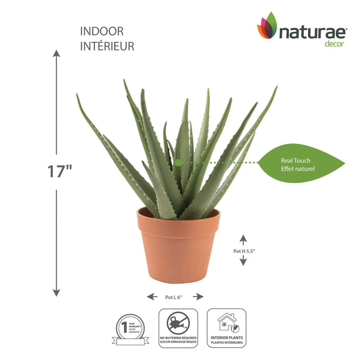 Artificial 17\" Aloe Vera In Terracotta Pot
