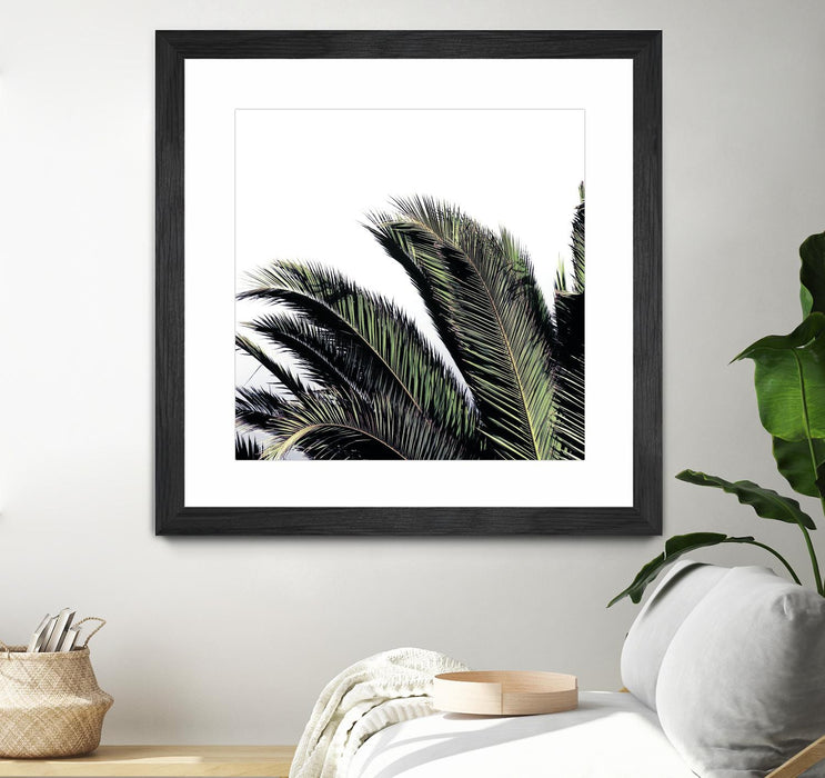 \"Cape Storm\" Matted and Framed Black 30x30 Wall Art