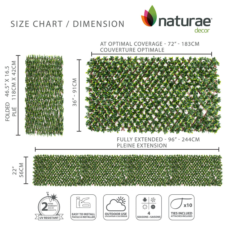 PVC Expandable Trellis 36"x 72" Gardenia Leaves The Brick