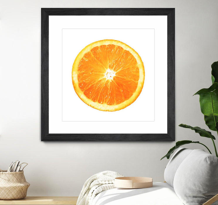 \"Citrus Cultivar\" Matted and Framed Black 36x36 Wall Art
