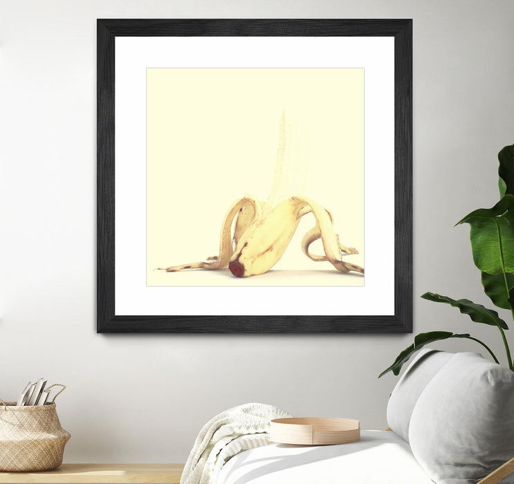 \"Banada Honey Puff\" Matted and Framed Black 36x36 Wall Art