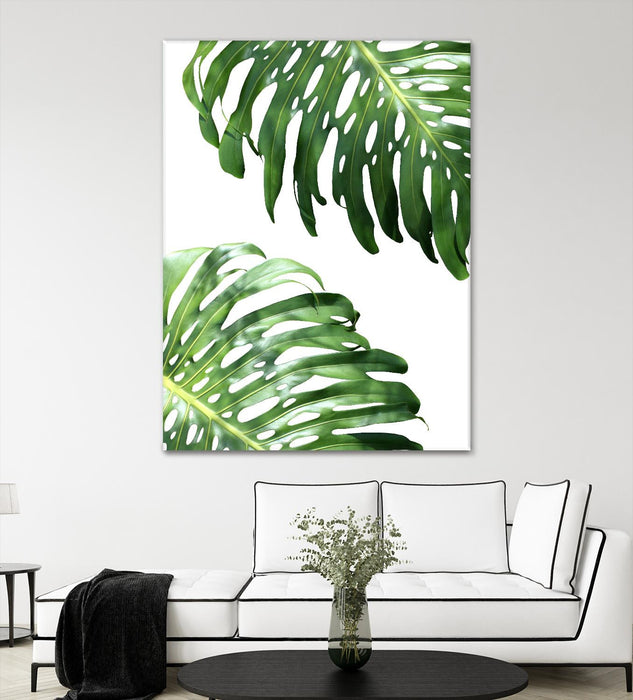 \"Double Philodendron (color)\" Giant Art 72x54 Wall Art