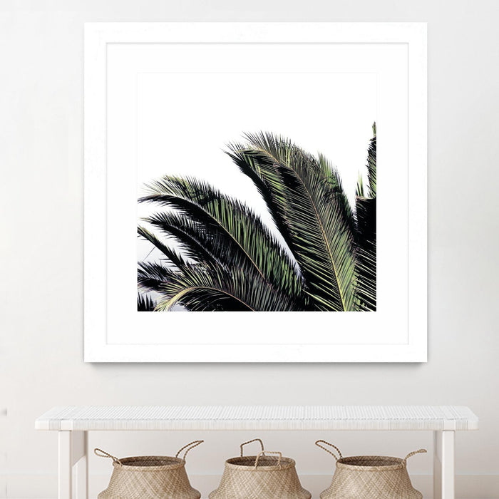 \"Cape Storm\" Matted and Framed White 36x36 Wall Art