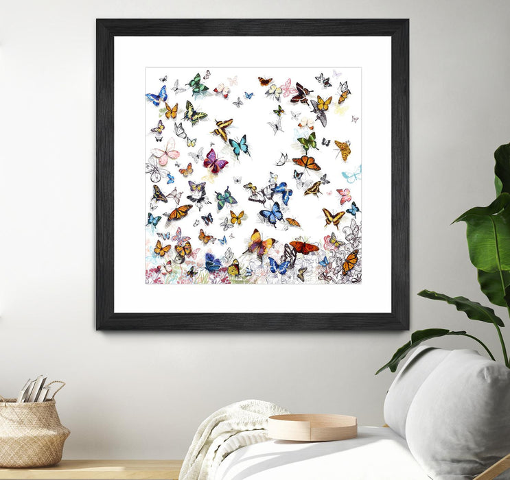 \"Papillon\" Matted and Framed Black 36x36 Wall Art