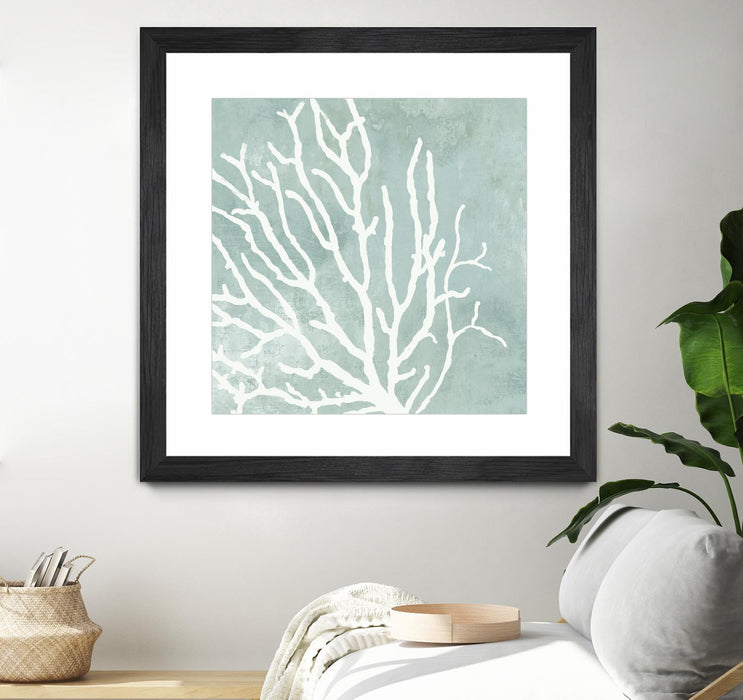 \"Sea Crown I\" Matted and Framed Black 36x36 Wall Art