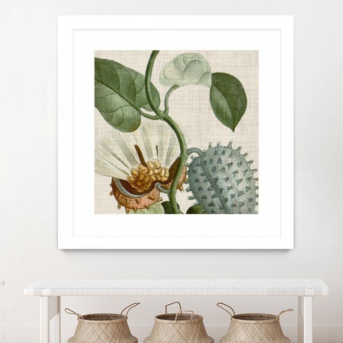\"Cropped Turpin Tropicals Ii\" Matted and Framed White 30x30 Wall Art