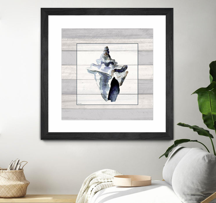 \"Muted Blue Sea Conch On Wood\" Matted and Framed Black 30x30 Wall Art