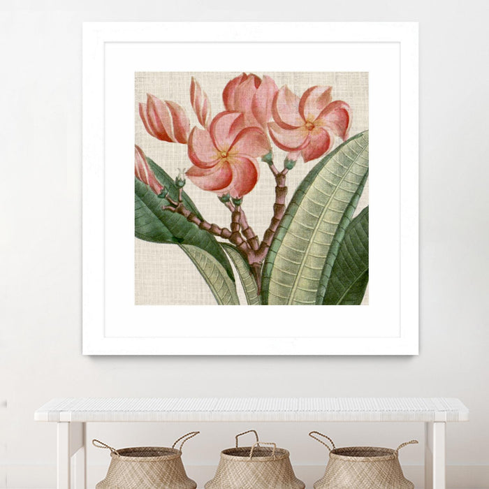\"Cropped Turpin Tropicals Vii\" Matted and Framed White 30x30 Wall Art