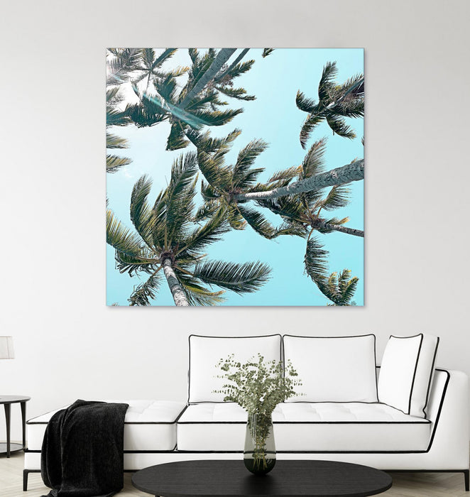 \"Palm 03\" Giant Art 72x72 Wall Art