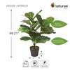 Artificial 27" Fiddle Leaf In Black Pot 