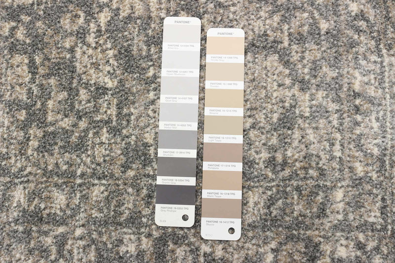 Ochoa Grey Area Rug - 5'3\" x 7'3\"