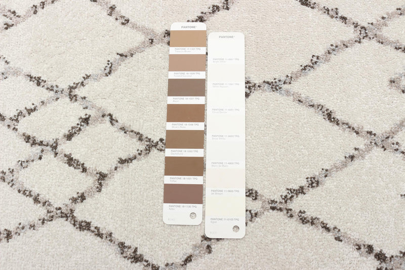 Jacey Ivory Shag - 2'7\" x 8'0\"