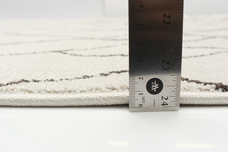 Anas Ivory Area Rug - 5'3\" x 7'3\"