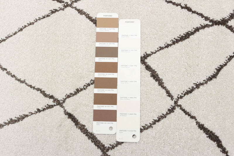 Anas Ivory Area Rug - 5'3\" x 7'3\"