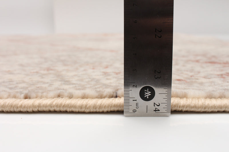 Mia Coral 3'10\" x 6'0\" Area Rug