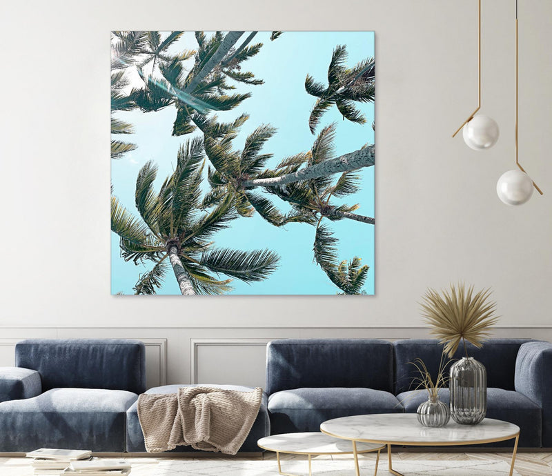 \"Palm 03\" Giant Art 72x72 Wall Art