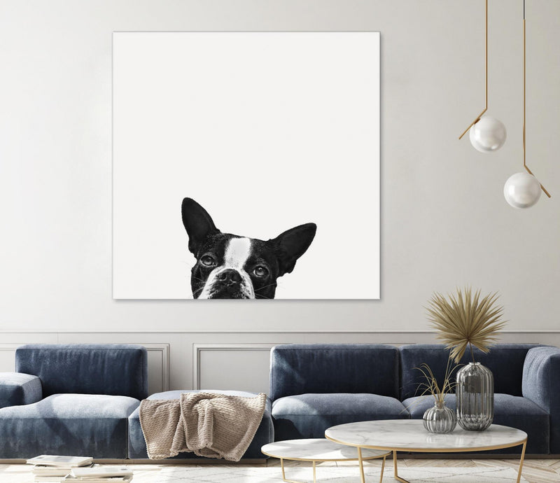 \"Loyalty\" Giant Art 54x54 Wall Art