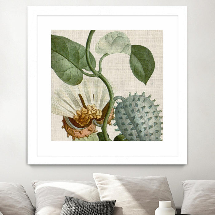 \"Cropped Turpin Tropicals Ii\" Matted and Framed White 36x36 Wall Art