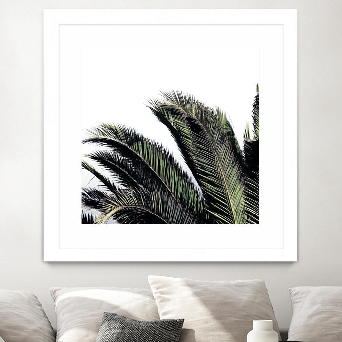 \"Cape Storm\" Matted and Framed White 36x36 Wall Art