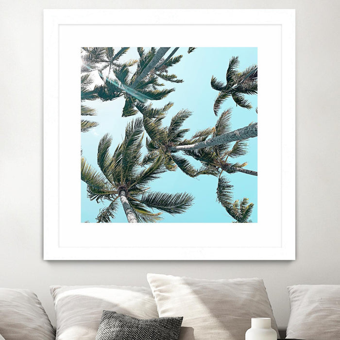\"Palm 03\" Matted and Framed White 36x36 Wall Art