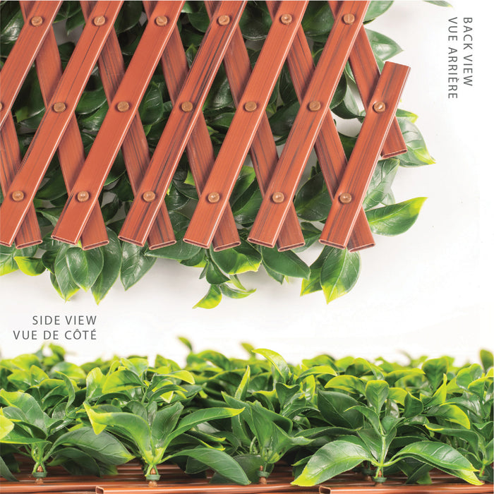 PVC Expandable Trellis 36\"x 72\" Gardenia Leaves