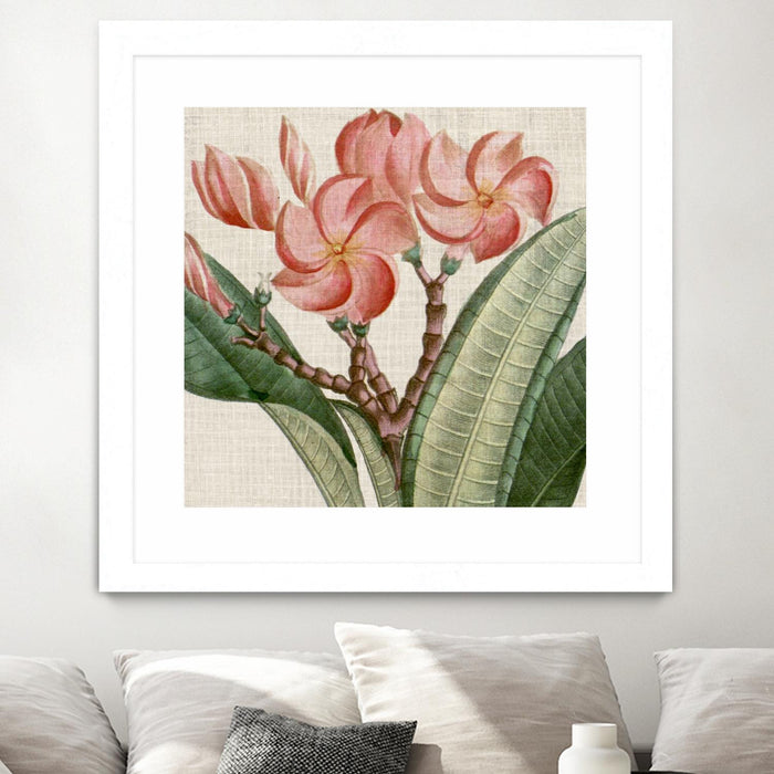 \"Cropped Turpin Tropicals Vii\" Matted and Framed White 30x30 Wall Art