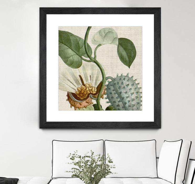 \"Cropped Turpin Tropicals Ii\" Matted and Framed Black 36x36 Wall Art