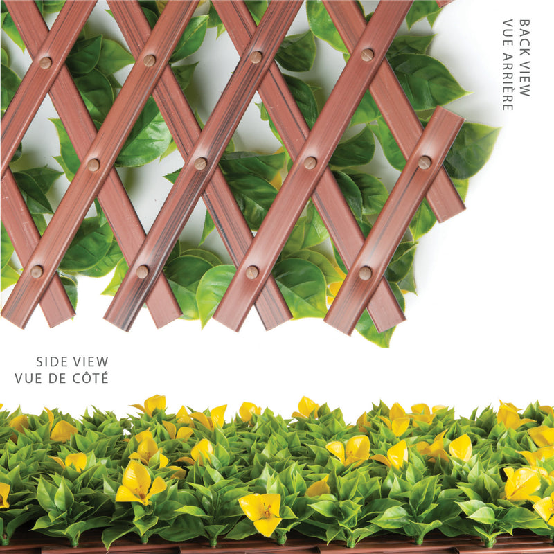 PVC Expandable Trellis 36"x 72" Yellow Clematis Leaves The Brick