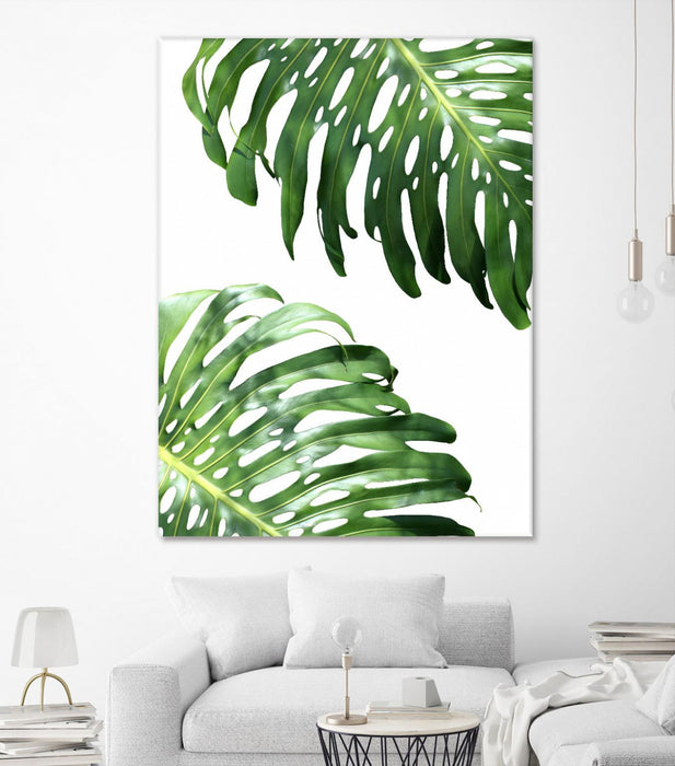 \"Double Philodendron (color)\" Giant Art 72x54 Wall Art