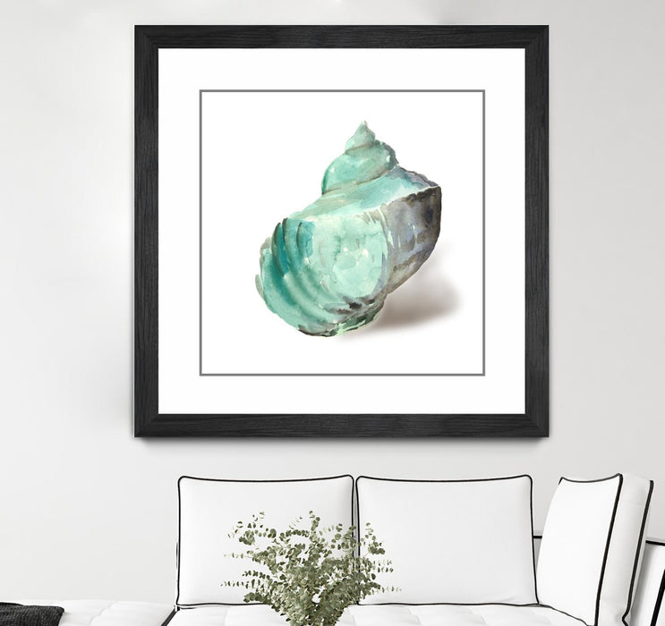 \"Shell In Mint\" Matted and Framed Black 36x36 Wall Art