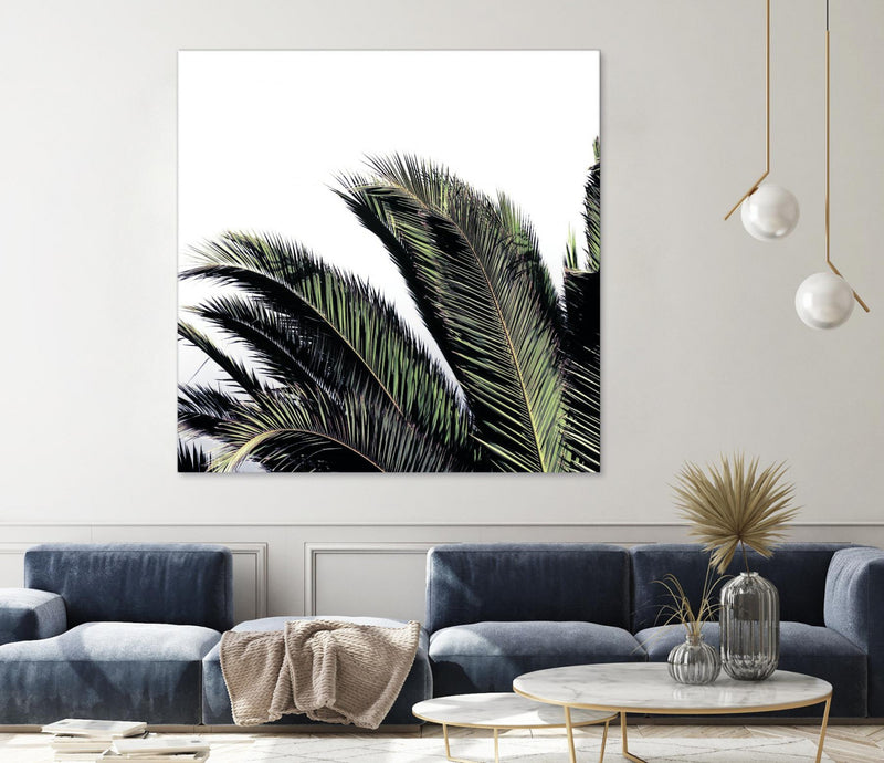 \"Cape Storm\" Giant Art 54x54 Wall Art