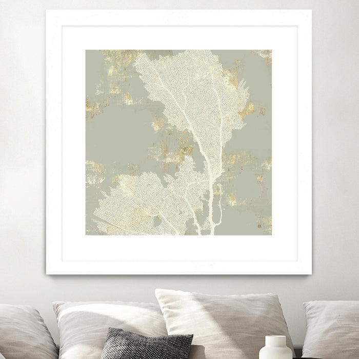 \"Sea Coral Ii\" Matted and Framed White 36x36 Wall Art
