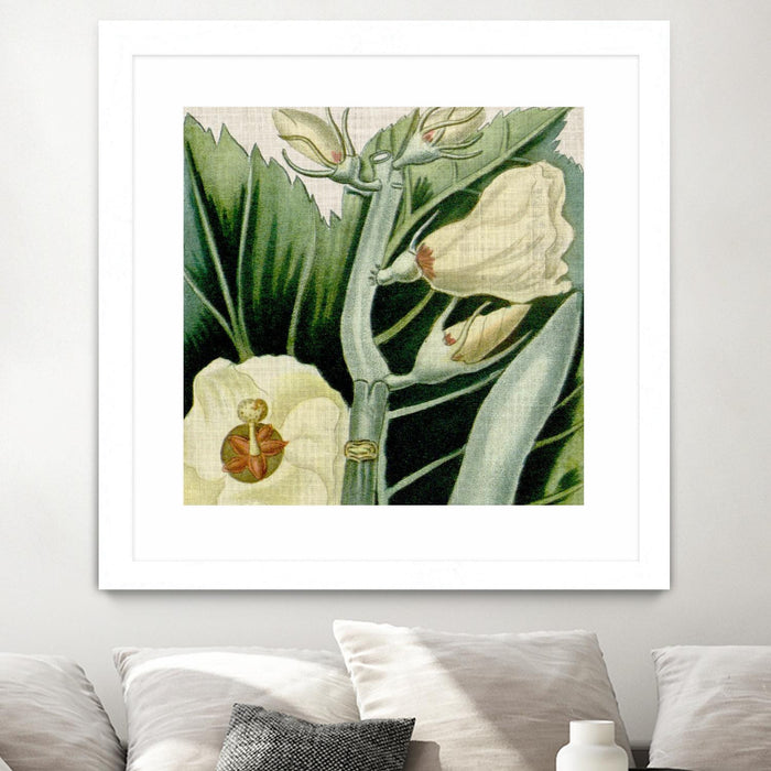 \"Cropped Turpin Tropicals Iii\" Matted and Framed White 36x36 Wall Art