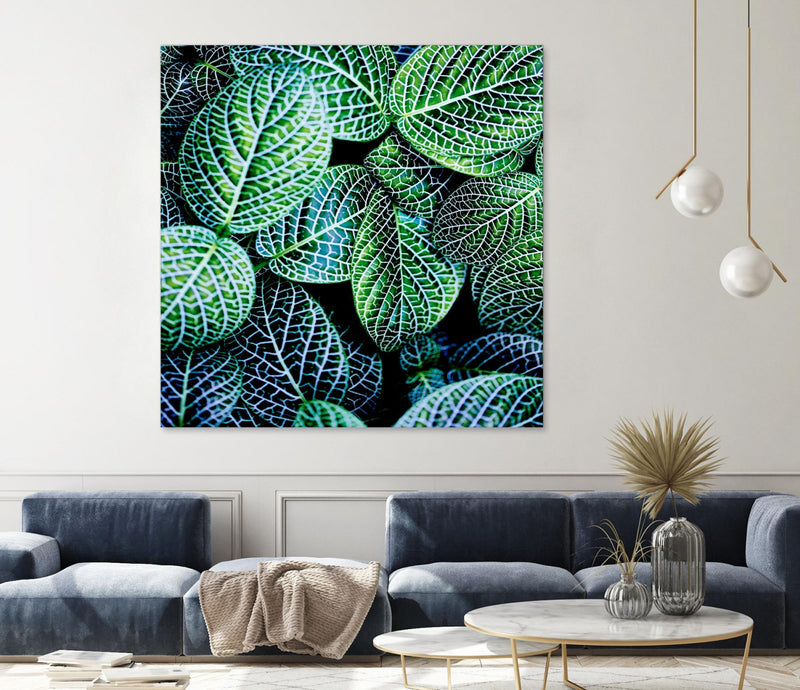 \"Leaf Viii\" Giant Art 54x54 Wall Art