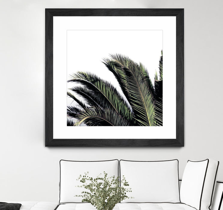 \"Cape Storm\" Matted and Framed Black 30x30 Wall Art
