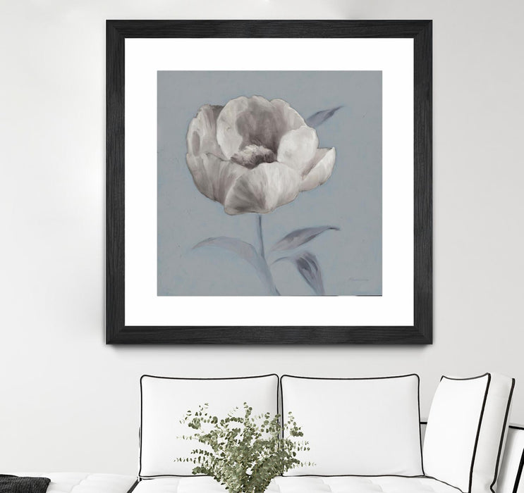 \"Floral Symposium I\" Matted and Framed Black 36x36 Wall Art