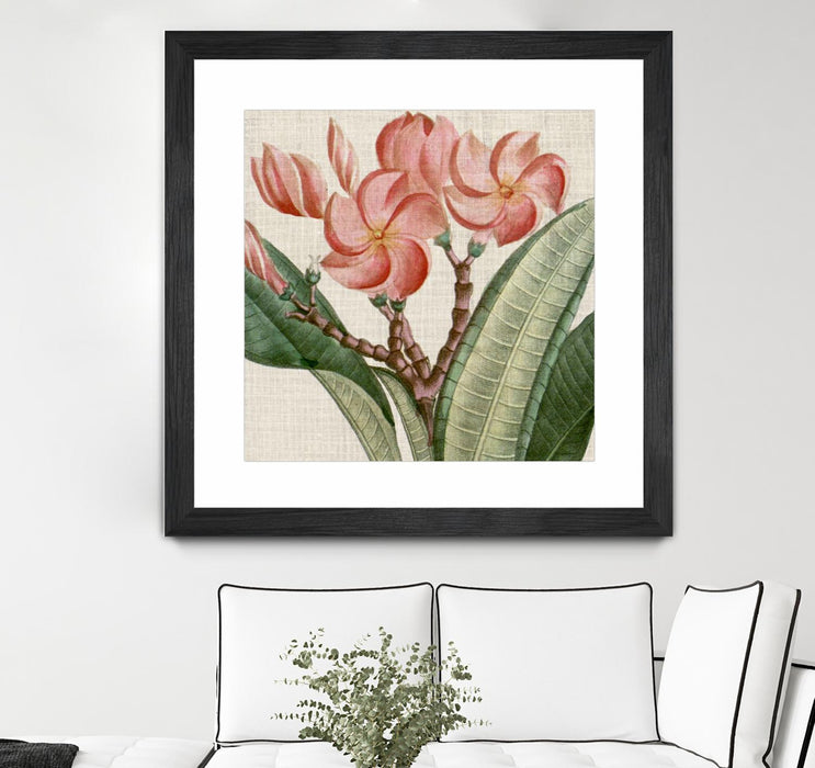 \"Cropped Turpin Tropicals Vii\" Matted and Framed Black 36x36 Wall Art