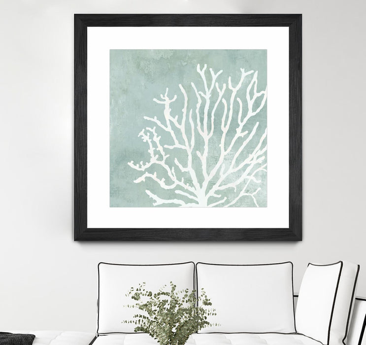 \"Sea Crown Ii\" Matted and Framed Black 36x36 Wall Art