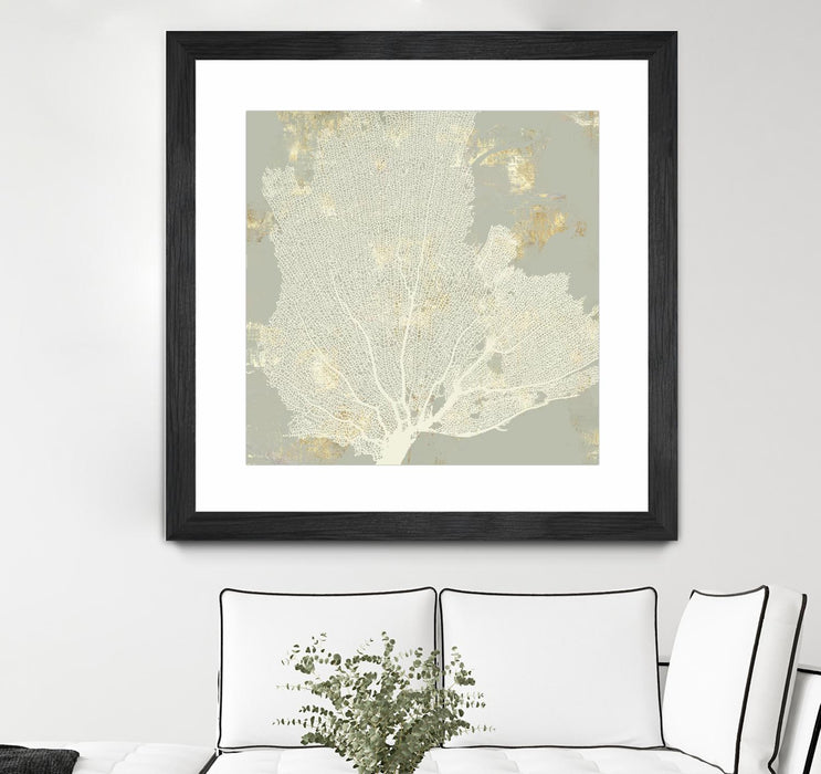 \"Sea Coral I\" Matted and Framed Black 30x30 Wall Art