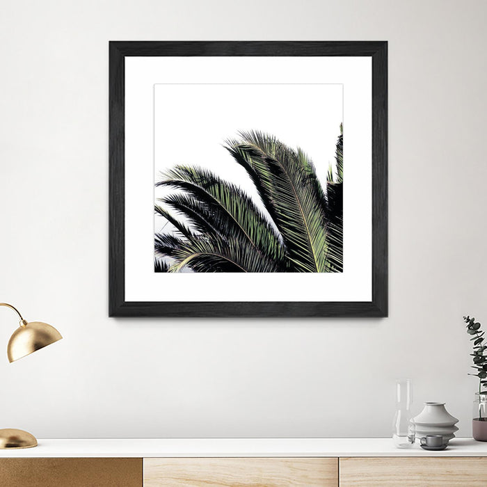 \"Cape Storm\" Matted and Framed Black 30x30 Wall Art