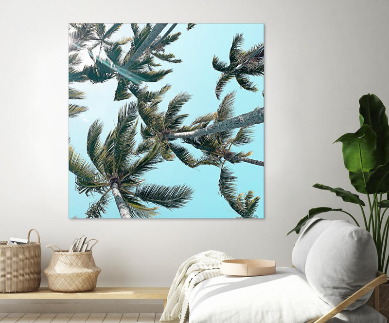 \"Palm 03\" Giant Art 72x72 Wall Art