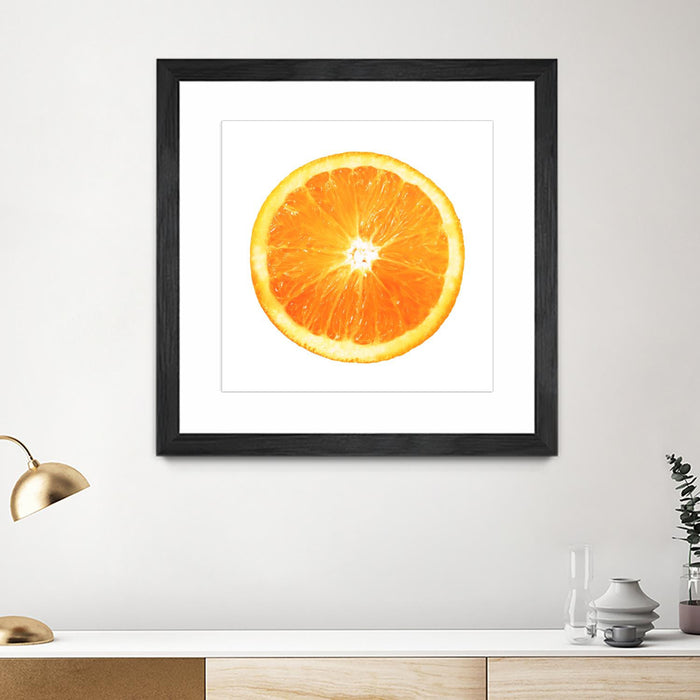 \"Citrus Cultivar\" Matted and Framed Black 36x36 Wall Art