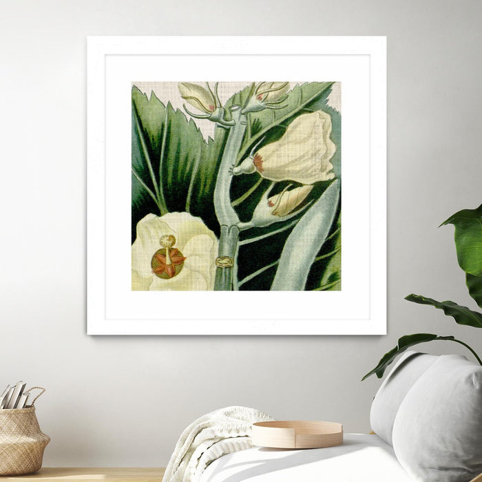 \"Cropped Turpin Tropicals Iii\" Matted and Framed White 36x36 Wall Art
