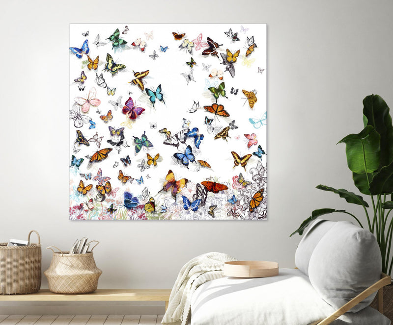 \"Papillon\" Giant Art 54x54 Wall Art