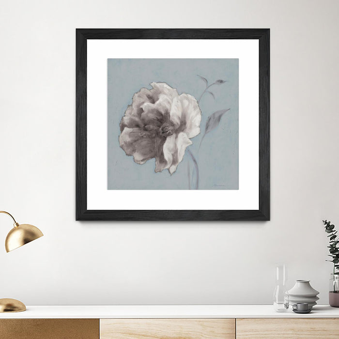 \"Floral Symposium Ii\" Matted and Framed Black 36x36 Wall Art