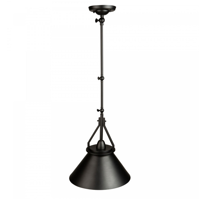 Brydon 1-Light Black Wall Sconce Pendant