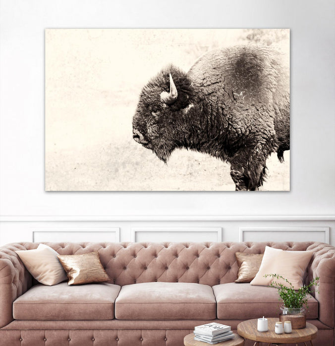 \"Buffalo\" Giant Art 72x48 Wall Art